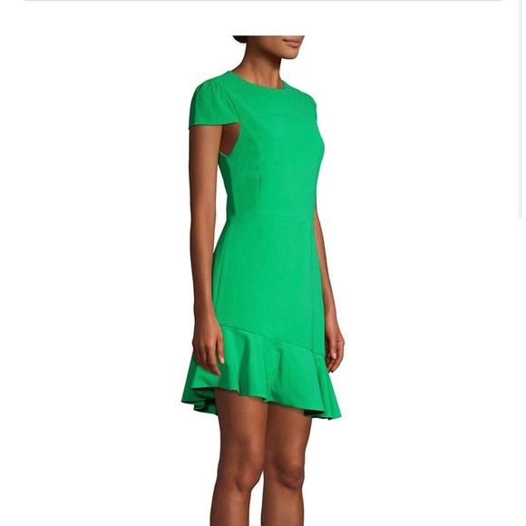 Alice and Olivia Fable Ruffle Dress Tiered Dress - Picture 3 of 8